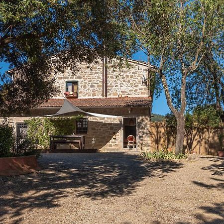 Poggio Al Mandorlo Villa Greve in Chianti Exterior photo