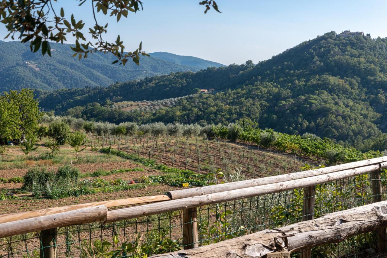 Poggio Al Mandorlo Villa Greve in Chianti Exterior photo